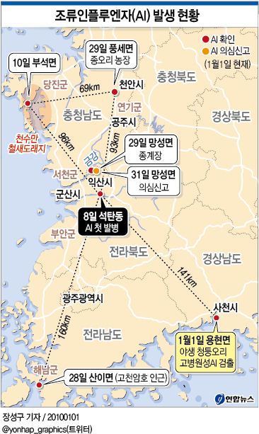 <그래픽> 조류인플루엔자(AI) 발생 현황