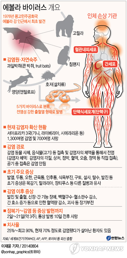 '에볼라 유입 막아라'…정부, 추적조사·검역 강화(종합2보)3