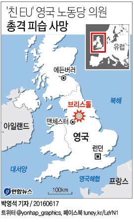 <그래픽> '친 EU' 영국 노동당 의원 총격 피습 사망