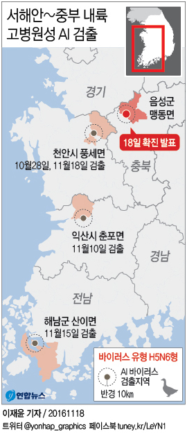 <그래픽> 서해안~중부 내륙 고병원성 AI 검출
