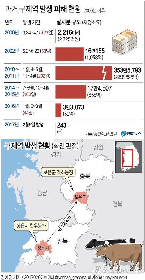 보은 젖소 이어 정읍 한우도 구제역 확진…유입경로 '오리무중'(종합) - 1