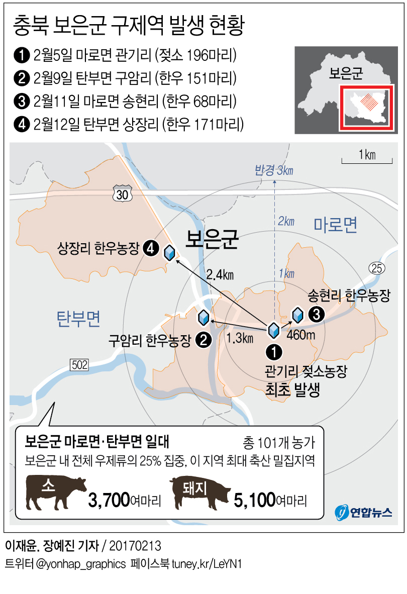 2.4㎞까지 번진 구제역 바이러스…충북 보은 통제불능 되나 - 1