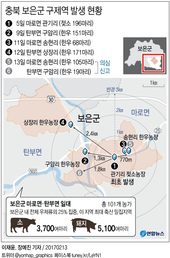 "소·돼지 9천마리 씨 마르겠네"…충북 보은 '구제역 공포' - 1
