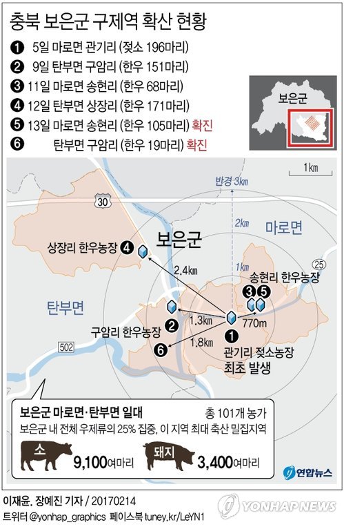 구제역 하루 새 3곳 추가 발생…충북 보은 패닉 상태(종합) - 2