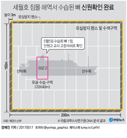 [그래픽] 세월호 침몰해역서 발견 유골, 단원고 고창석 교사로 확인