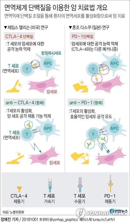 노벨상이 인정한 '면역항암제'…국내서도 R&D 경쟁 치열 - 2