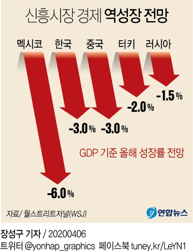 "신흥 시장 경제 69년 만에 첫 역성장 전망" - 2