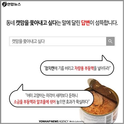 <카드뉴스> "민폐 동물에 왜 먹이 주나요"…캣맘 두고 갑론을박 - 7