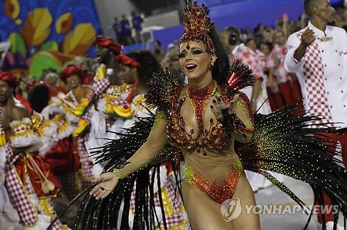 카니발 시즌 앞둔 브라질…"축제 기간 소두증 대확산 우려" - 6