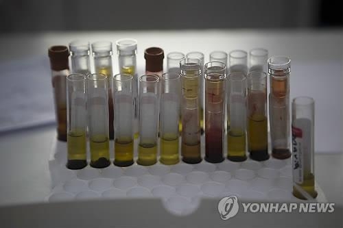 인도 제약사, 지카 백신 개발 주장…동물실험은 '아직' - 2