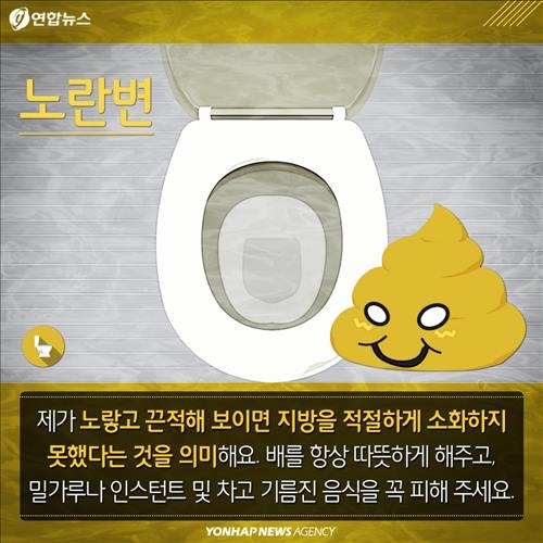 <카드뉴스> '큰일' 봤으면 확인은 필수…변 보면 건강 보인다 - 6