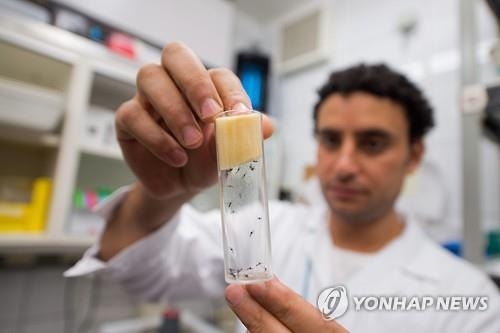 세계 정상급 의학연구소·학술지, '지카와의 전쟁'에 힘합친다 - 2