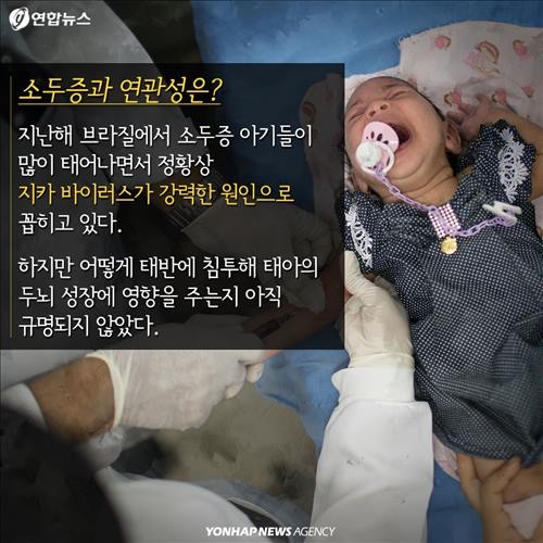 <카드뉴스> '알아야 막는다'…지카 바이러스를 둘러싼 문답 - 5