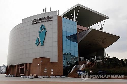 <주목! 이 조례> '울산은 고래다' 전국 유일 고래박물관 조례 - 3