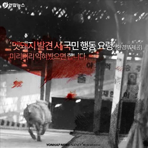 <카드뉴스> '위험한 침입자' 멧돼지가 몰려온다 - 8