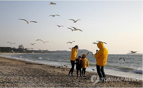 안면도 꽃지해수욕장 '침식 심각'…관리구역 지정 검토 - 2