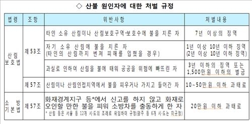 정월대보름 액운 쫓을 때도 '산불조심' - 3