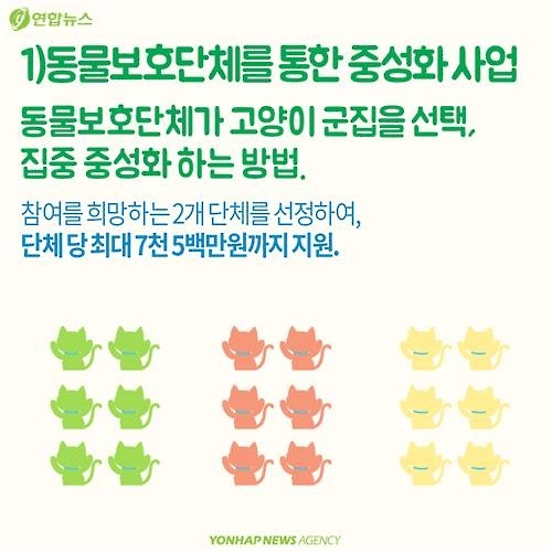 <카드뉴스> "나 수술받는다, 냥!"…길고양이의 서울살이 애환 - 7