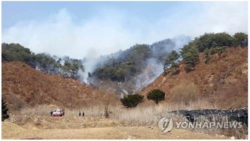산림청 '청명·한식 산불 막자' 특별대책 추진 - 2