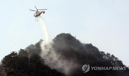 소백산 화재 진압 '악전고투'…완전진화까지 27시간 걸려(종합2보) - 3