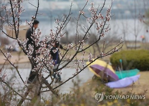 충북 오후 늦게 봄비…황사·미세먼지 '주의' - 2