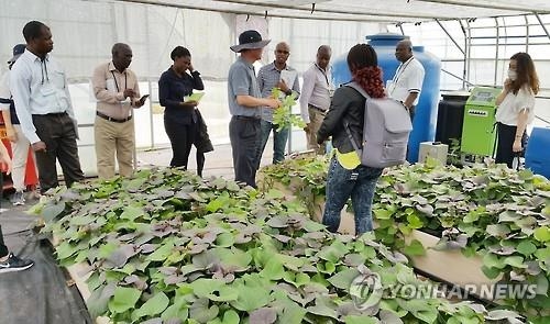 "영농기술 배워요"…모잠비크 공무원 정읍서 연수 - 2