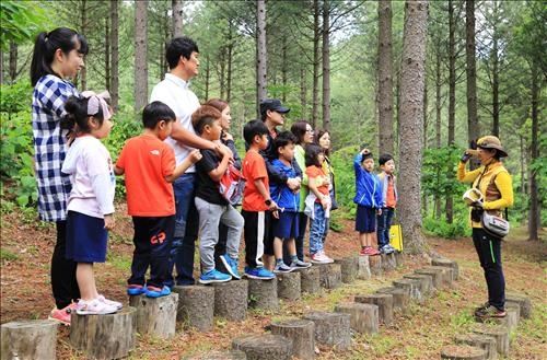 <카메라뉴스> "자연에서 뛰어놀아요"…유아숲체험원 - 3