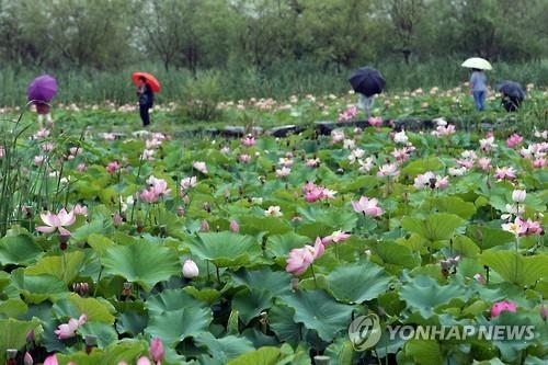 <주말 N 여행> 영남권: 내가 찾은 생물 '사진 콕 찍어' 앱에 올리면 국가기록물 - 2