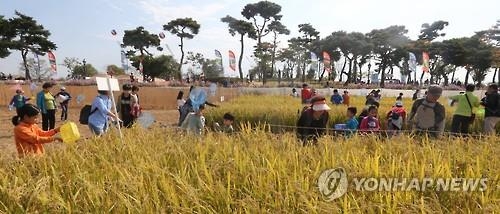 "농촌 마을회관서 숙박하며 지평선축제 즐겨요" - 3