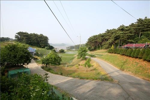 <가고 싶은 섬> 가로림만의 숨은 비경…서산 웅도 - 11
