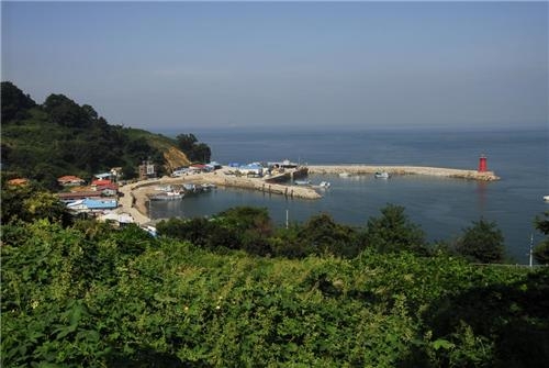 <가고 싶은 섬> 야생의 매력, 안산 풍도 - 3