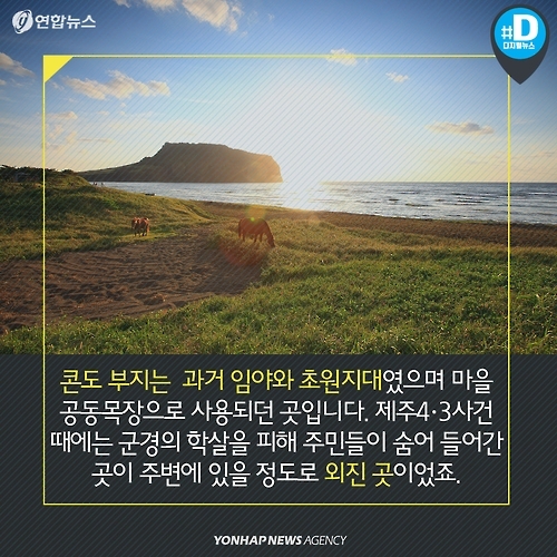 <카드뉴스> 한국서 제일 비싼 별장은 제주도 '왕서방'네 집? - 4