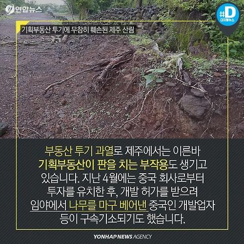 <카드뉴스> 한국서 제일 비싼 별장은 제주도 '왕서방'네 집? - 13