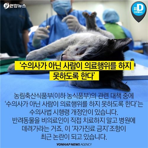 <카드뉴스> 배가 아픈데 어디로 가야하냥? 약국, 아니면 병원? - 4