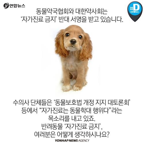 <카드뉴스> 배가 아픈데 어디로 가야하냥? 약국, 아니면 병원? - 11