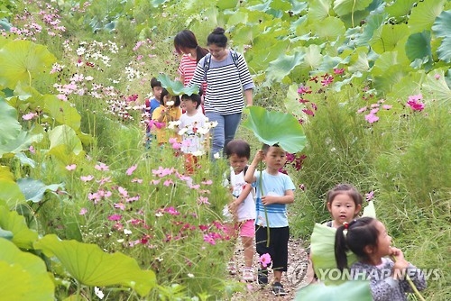 충북 흐린 주말…곳곳에 소나기 - 1
