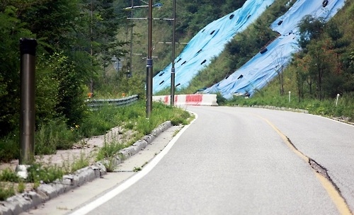 오투리조트 내 도로