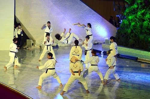 세계태권도연맹 시범단, 바티칸 공연