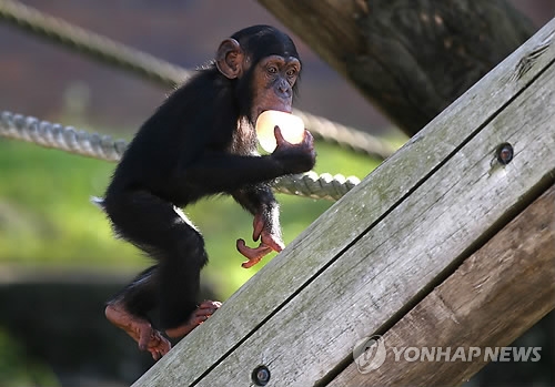 연합뉴스 자료사진