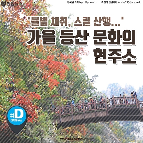 <카드뉴스> 불법 채취, 스릴 산행…가을 등산 문화의 현주소 - 1