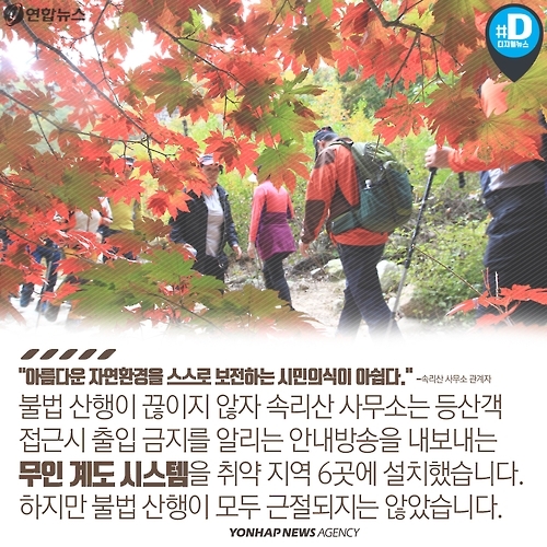 <카드뉴스> 불법 채취, 스릴 산행…가을 등산 문화의 현주소 - 10