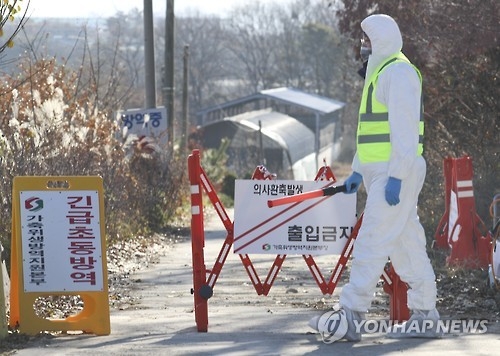 충북 AI 확산 차단 안간힘…내달부터 오리 입식 사전신고제 - 1