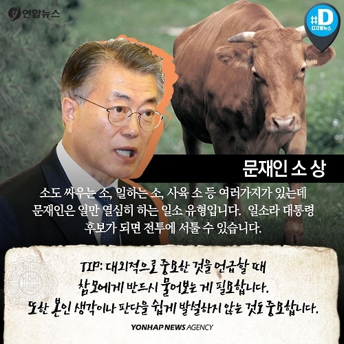 <카드뉴스> 동물상으로 바라본 대권주자 관상 - 5
