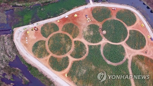 노란꽃잔치(자료)