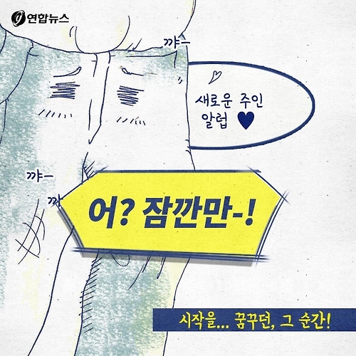 <카드툰> 청바지의 '이력'이 궁금한 이유 - 와이콜센터 - 12