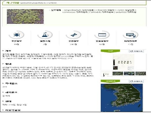 생물종 검색서비스 화면