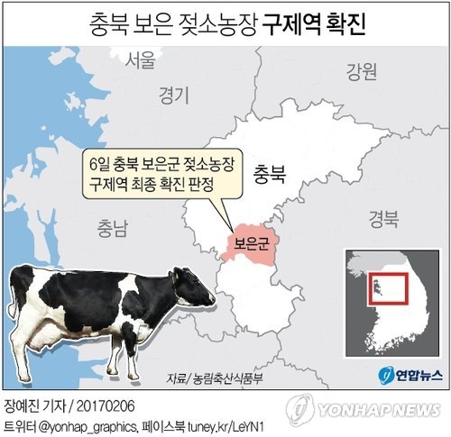 195마리 살처분 대규모 구제역 '초비상'…부랴부랴 방역강화 - 2