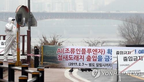'AI로 두달반 휴장' 서울대공원, 꽃피는 봄에는 갈 수 있을까 - 2