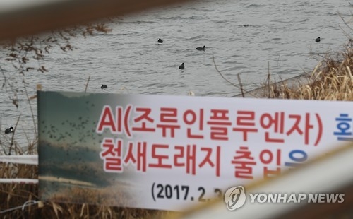 'AI 막아라'…강원 정월 대보름 행사 취소·축소 - 1