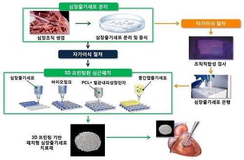 3D 세포 프린팅 기반 패치형 심근경색 줄기세포 치료